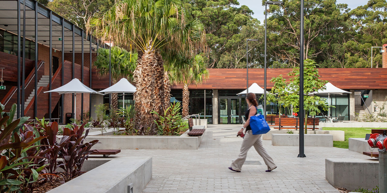 Architectural Umbrellas, Charles Sturt University, Port Macquarie, NSW